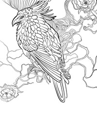 Line drawing of bird outline for coloring book clip art for design