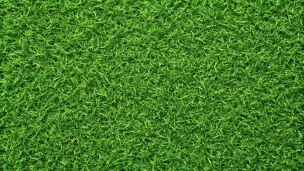 Seamless square green grass texture for backgrounds and designs, grass, seamless, green, square, texture, background, nature, outdoor