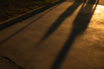 Human shadows on the ground. Sunset light behind the people. Shadow art concept.