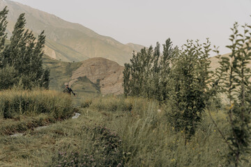 A man riding a horse in a field with mountains in the background
