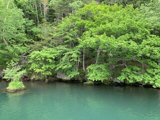 water, river, lake, nature, sky, landscape, tree, forest, green, trees, reflection, beautiful, pond, scenery