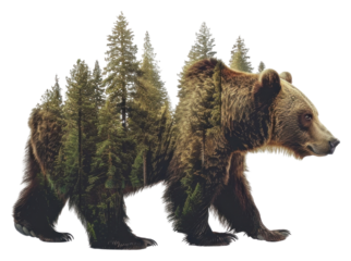 PNG Bear forest double exposure art