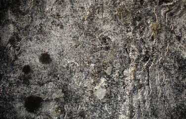 cracked concrete wall covered with gray cement surface as background, rack concrete white wall or Cement wall background, Broken hole in white wall. Abstract background.