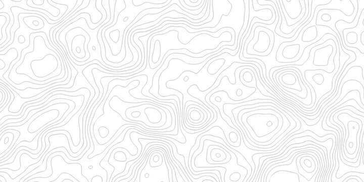 Contour abstract map relief land outline. Topographic map patterns. White wave paper curved reliefs abstract background. Background of the topography map. Abstract pattern with lines.