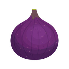 Purple fig isolated on transparent background. Tropical fruit icon for farm market. Vector illustration in flat style.