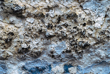Old white, blue painted wall.