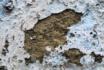 Old white, blue painted wall.