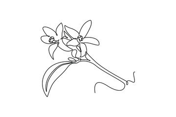 Beautiful flower concept. Single line draw design vector graphic illustration.