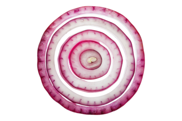 Sliced red onion ring isolated on transparent background