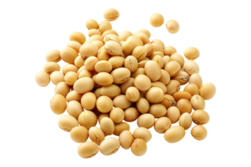 Soy beans isolated on transparent background