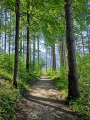 Canvas schilderij Hiking trail, Almsee, Austria