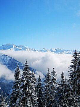 Pierra Menta and French Alps above a sea of clouds with snowy trees
