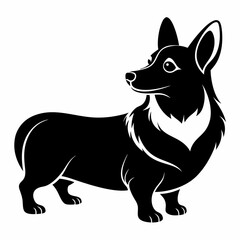 corgi dog ,puppy dog,Dog vector 