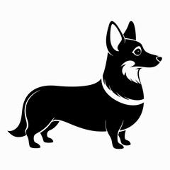 corgi dog ,puppy dog,Dog vector 