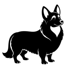 corgi dog ,puppy dog,Dog vector 