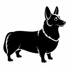 corgi dog ,puppy dog,Dog vector 