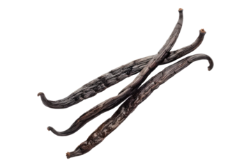 Vanilla beans isolated on transparent background