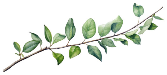 PNG Moutian view blossom flower