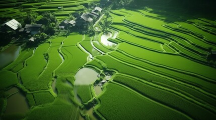 Vibrant rural landscapes  aerial perspective of lush green farms and plantations