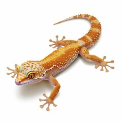 Naklejka premium A small lizard with a yellow and white pattern on its back