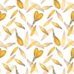 Seamless pattern with orange saffron flowers on a white background. Bouquet with crocuses. Watercolor illustration. Food, spices, groceries, fragrances, perfumes, cosmetology, spa, aromatic oils
