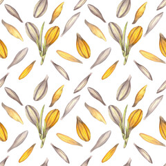 Seamless pattern with purple and orange saffron flowers on a white background. Bouquet with crocuses. Watercolor illustration. Food, spices, groceries, fragrances, perfumes, cosmetology, spa, oil