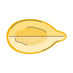 Hand drawn yellow half guava in doodle style. Top view. Cut piece of exotic fruit