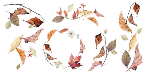 Autumn watercolor floral illustration clipart. Fall dried branches and leaves. Arrangement for rustic wedding design, greeting cards, thanksgiving