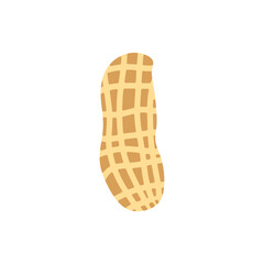 peanut flat design vector illustration isolated on white background. Superfood and vegan protein source concept. Perfect for dietary vegetarian guides and food packaging