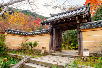 Obraz premium 【京都府】木津川市 浄瑠璃寺 (2023/11/29 撮影)