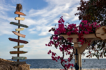 Colourful sign in Bulgaria for directions to different cities in the world. Beautiful flowers next to it.
