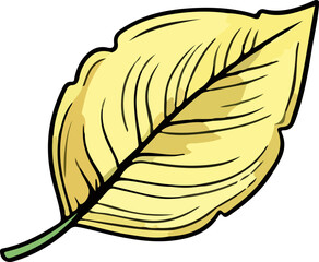 leaf vector illustration isolated on transparent background. 
