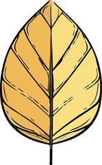 leaf vector illustration isolated on transparent background. 
