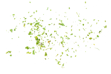 Chopped dry parsley leaves, pile isolated on white background, top view