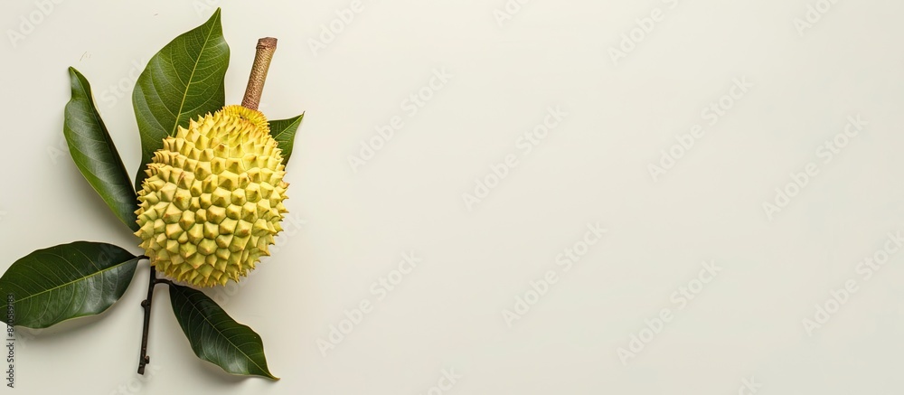 Poster Durian displayed against a white background offering a blank space for additional elements in the image.