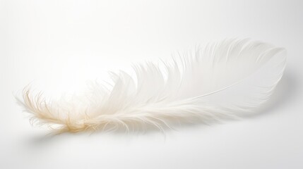 Obraz premium A delicate white feather, its intricate barbs and vane structure clearly visible, poised gracefully on a pristine white canvas