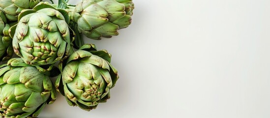 Fototapeta premium Close-up image of raw artichokes against a clean white backdrop with copy space available.