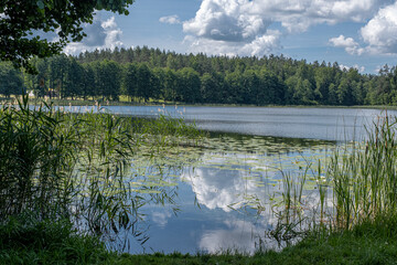 Fototapeta premium View of Stanka Lake, one of the many beautiful lakes in Lithuania, located in Dzukia region, Trakai District Municipality, Vilnius County, Lithuania 