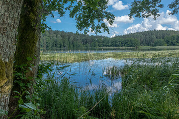 Fototapeta premium View of Stanka Lake, one of the many beautiful lakes in Lithuania, located in Dzukia region, Trakai District Municipality, Vilnius County, Lithuania 