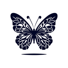 butterfly on white background