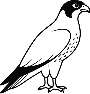 Egol  silhouette vector illustration 