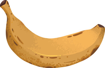 Banana ripeness stage. Different organic fruit peel color from green to brown, organic rotten and fresh ripe fruit. Vegetarian healthy food vector of banana ripen and rot stage illustration