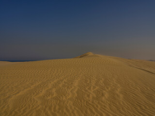 beautiful sand dunes in the desert