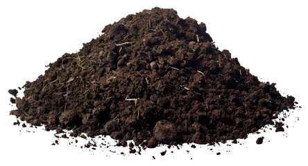 PNG Rich, organic, dark, fertile soil