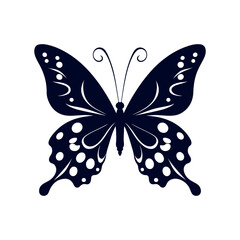 butterfly isolated on white