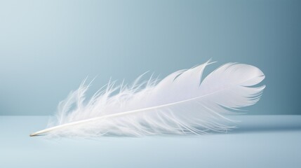 A single, fluffy white feather gently floating against a pure white backdrop,