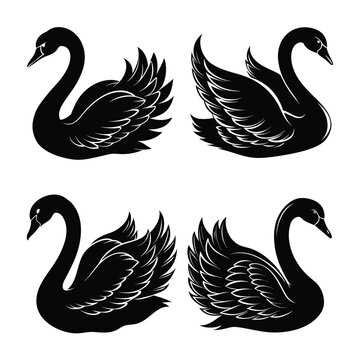 Swon Vector Illustration - Premium Digital Graphic Art for Creative Projects