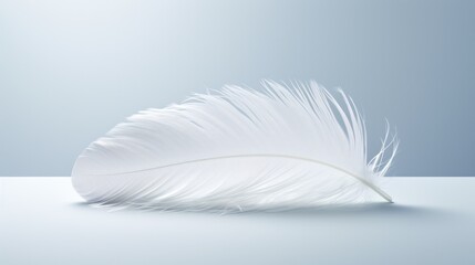 A solitary white feather, its pristine whiteness contrasting against a stark white background, symbolizing purity and innocence.