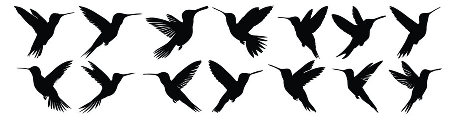 Hummingbird silhouette set vector design big pack of illustration and icon