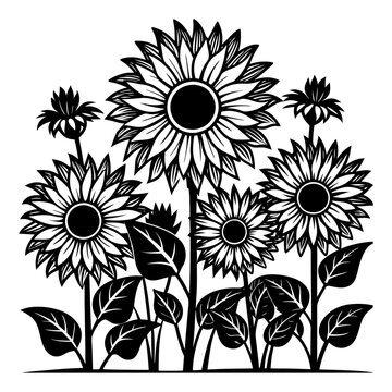 black and white sunflowers garden clip art preview